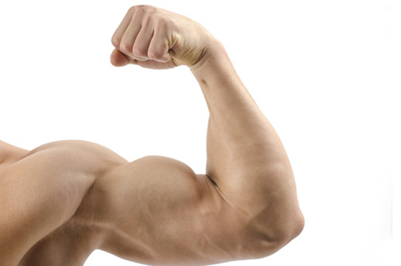 Scopri di più sull'articolo Se i tuoi muscoli stanno bene, stai bene anche tu !