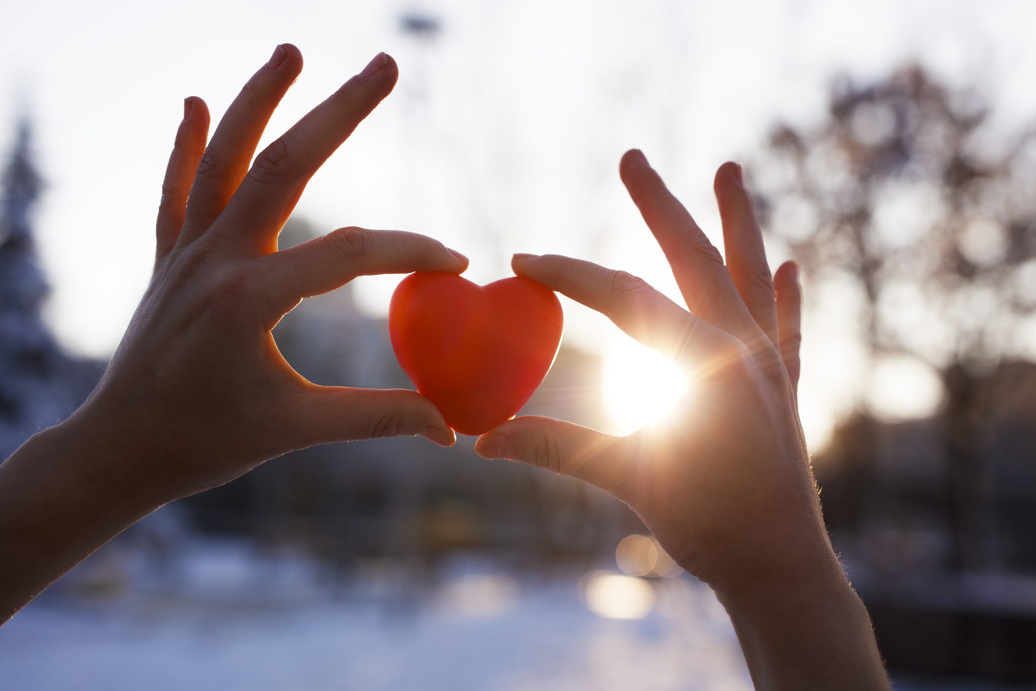 Al momento stai visualizzando Festeggia con noi il tuo San Valentino