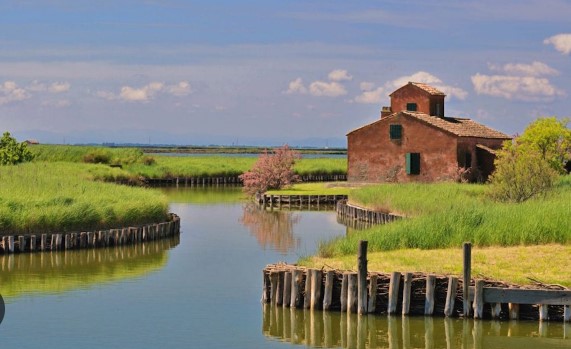 Al momento stai visualizzando Presentazione della guida “UN VIAGGIATORE SUL DELTA”